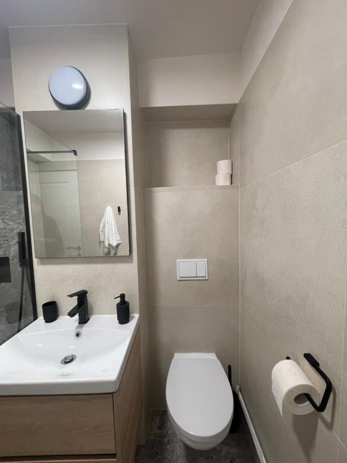 Apartament Mony Timisoara Bagian luar foto